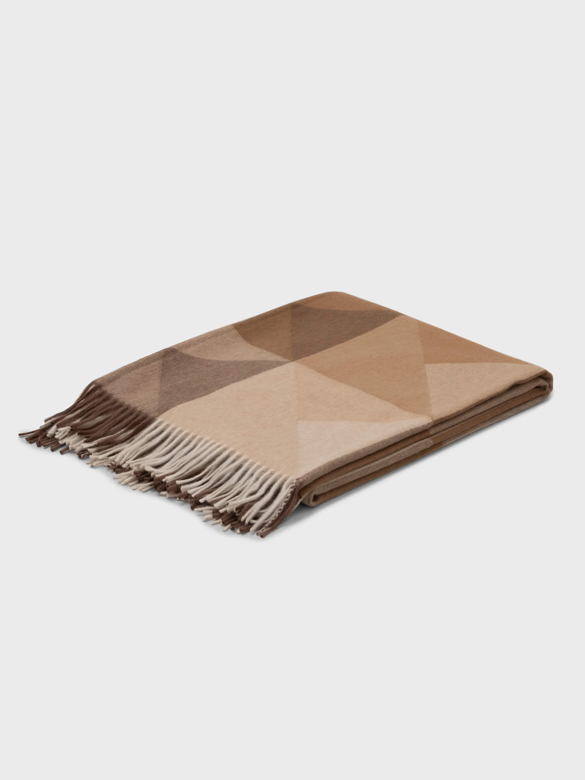 Arran Braque - Image 2