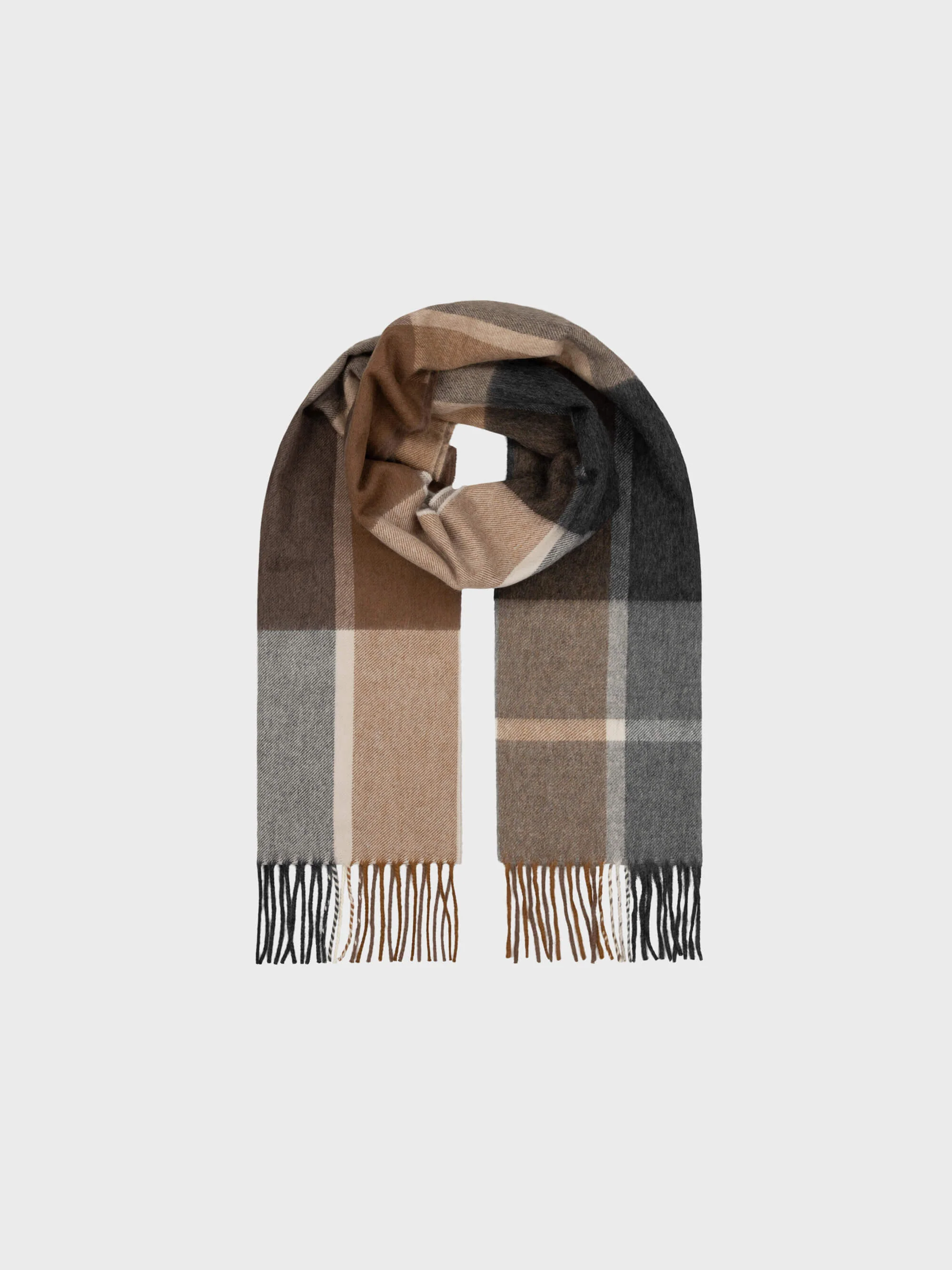Arran Edgar - Image 5