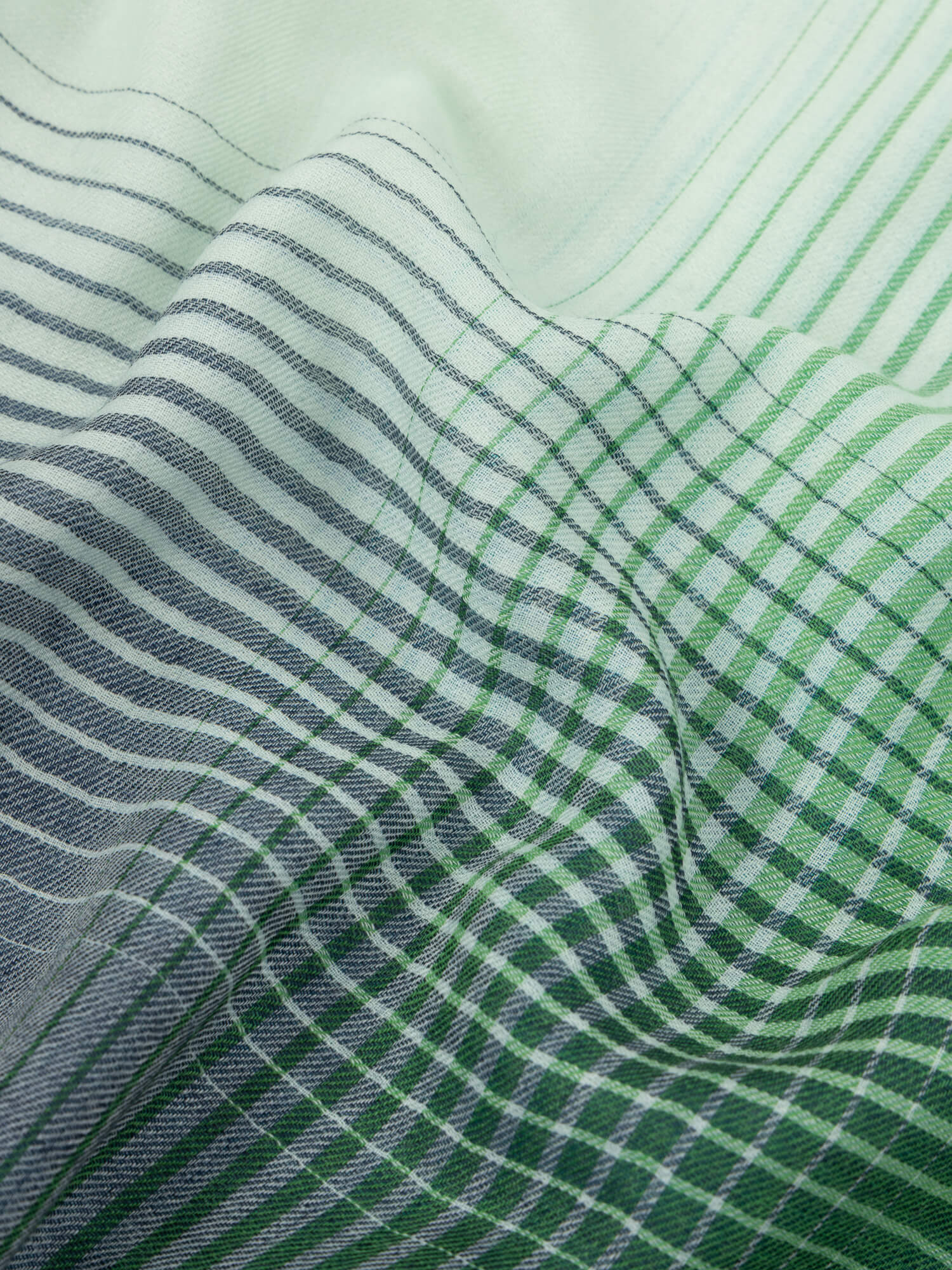 Wispy Anita - Image 5